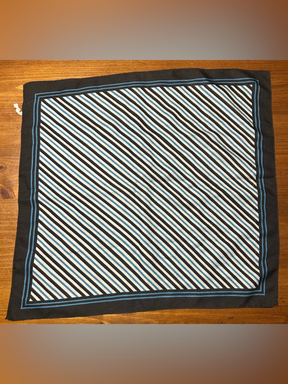 Striped Blue, White & Black Scarf